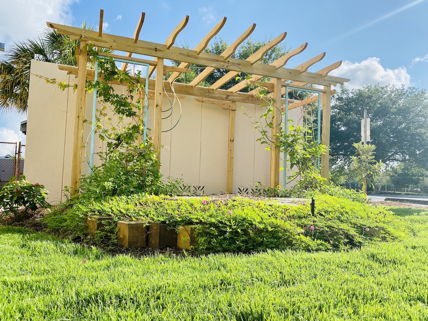 NEST garden exhibition