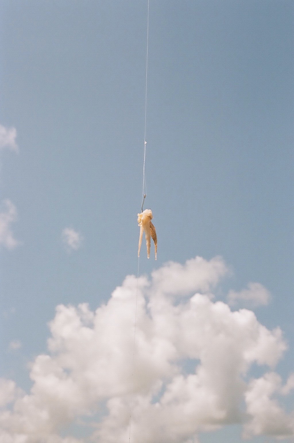 A fishing line with clouds and sky in the background