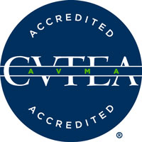 Circular CVTEA accredited logo with dark blue background.