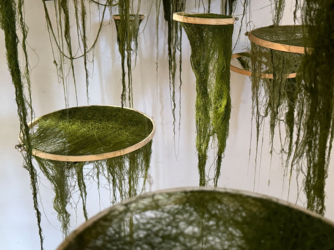 Suspended circular wooden frames filled with green fibrous material, hanging down in a cascading pattern against a light background.