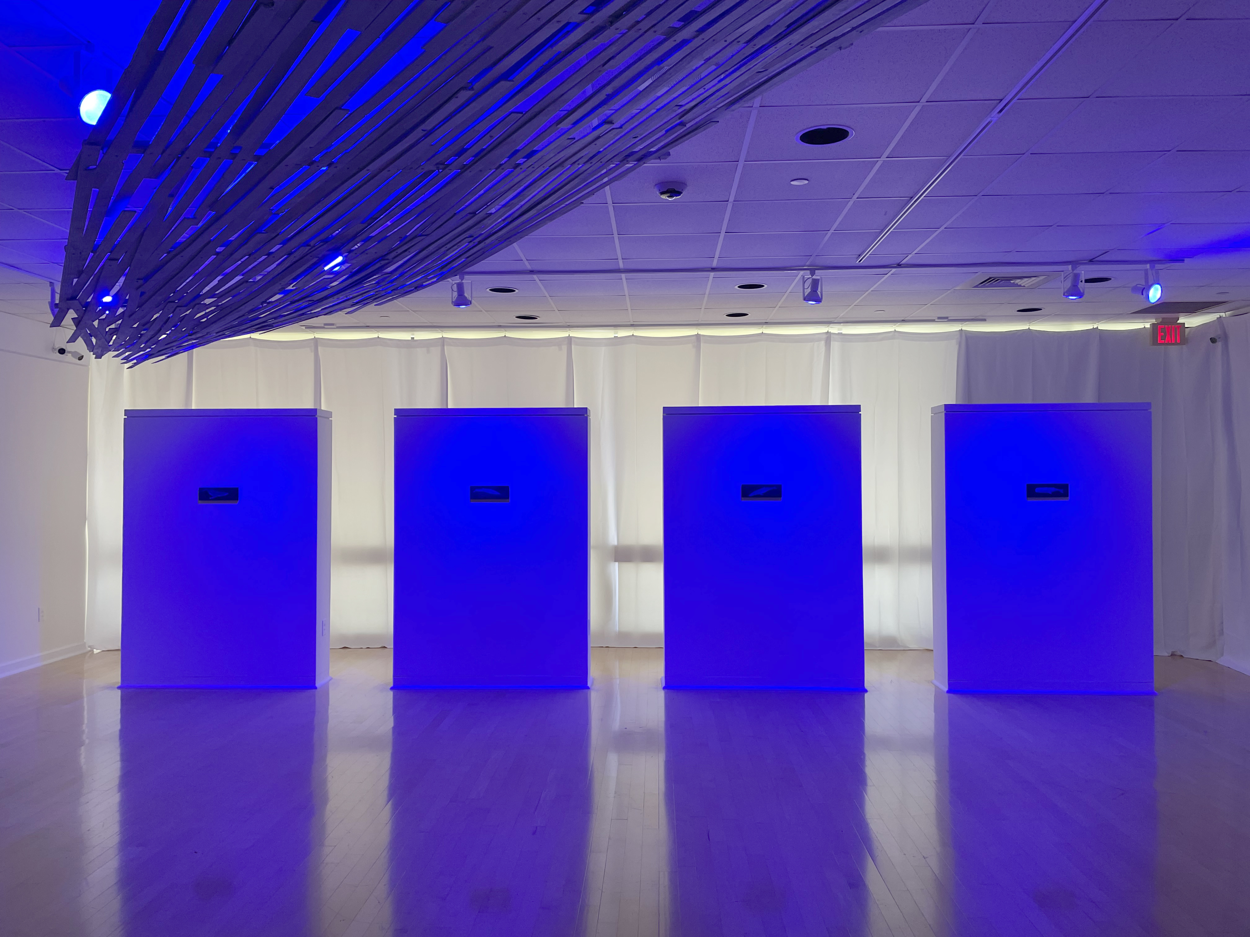 A contemporary art installation fills a gallery with blue and violet lighting. Four tall, rectangular display structures stand evenly spaced across the room, each containing a small framed work. Suspended wooden elements extend overhead from one side of the gallery, creating a dramatic canopy effect. White curtains surround the space, and the polished floor reflects the colored lighting, reinforcing the exhibition's immersive atmosphere.