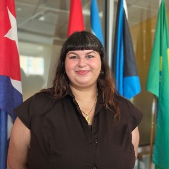 a professional shot of Dale Mabrey campus's Treasurer standing in front of a national flag.