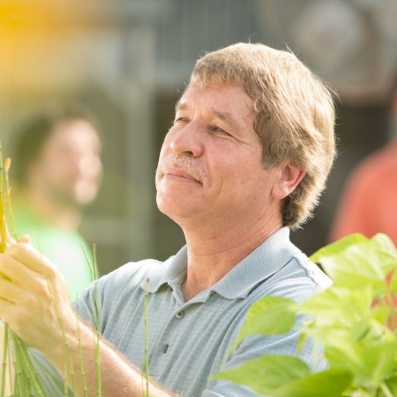 Environmental science instructor examining bamboo