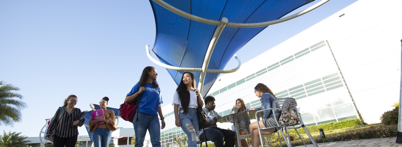 candid shot of students studying and walking around campus