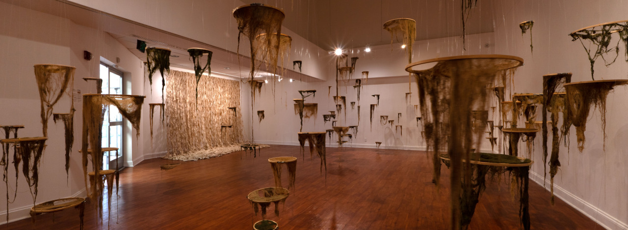 Large-scale gallery installation featuring dozens of suspended circular forms draped with fiber and organic materials, creating an immersive environment throughout the exhibition space.