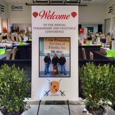 Strawberry Festival Conference