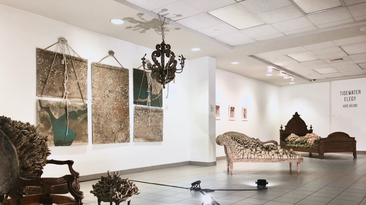 Installation of Tidewater Elegy exhibition